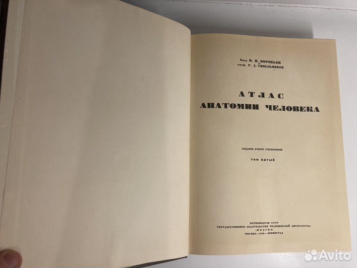Атлас синельников по анатомии
