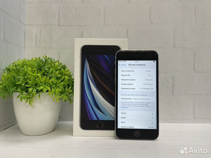 iPhone SE (2020), 64 ГБ