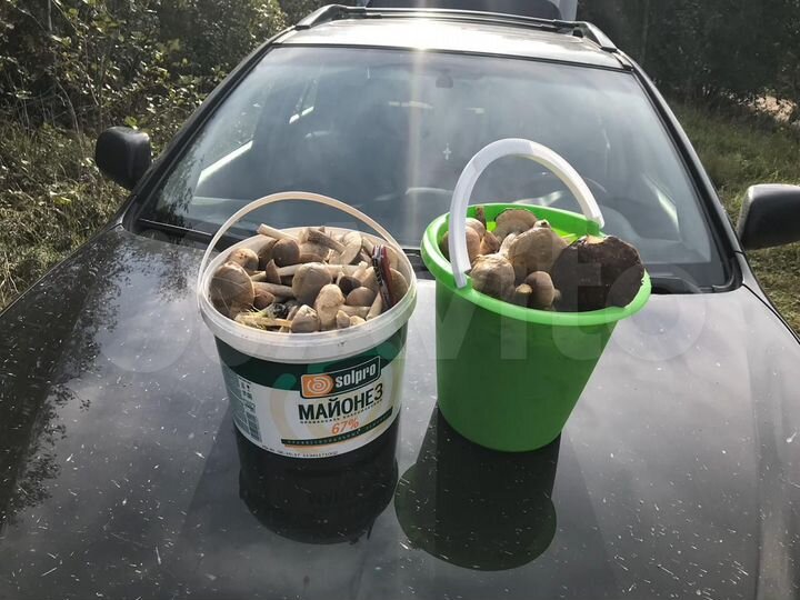 Участок 13,2 сот. (ИЖС)