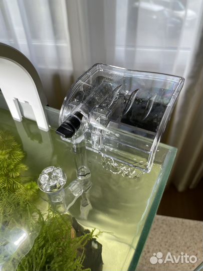 Аквариум с дизайном