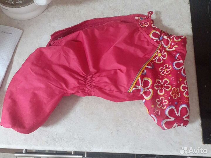 Костюмчик для собаки