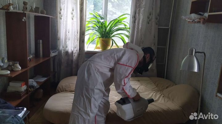 Травля тараканов клопов