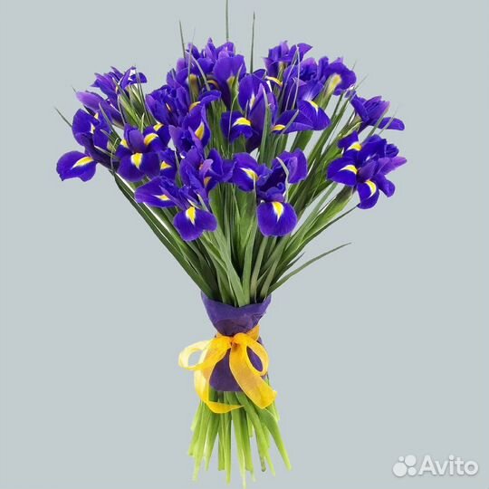 Букет из ирисов
