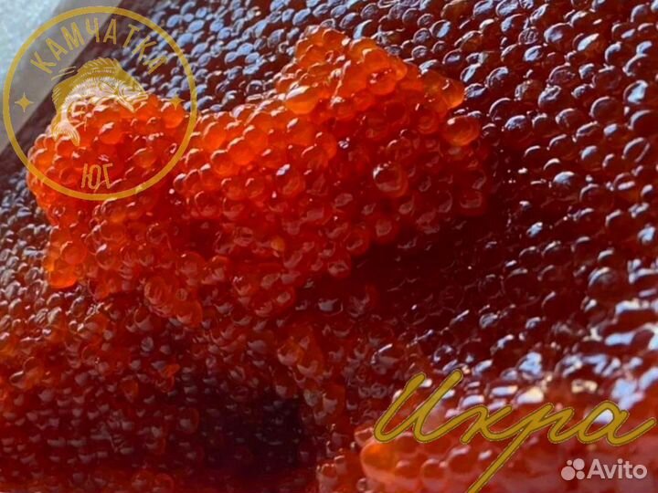 Красная икра