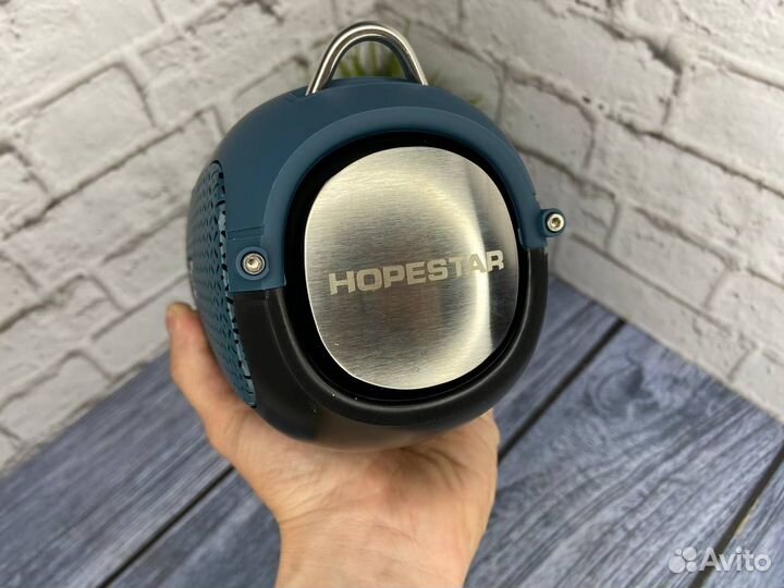 Колонка Hopestar A41 Мурена