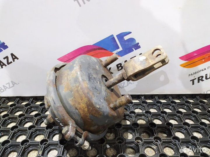 Камера тормозная Iveco Stralis, Renault Premium