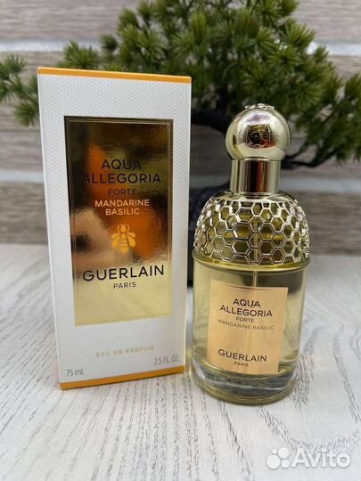 Guerlain aqua allegoria Forte Mandarin basilic
