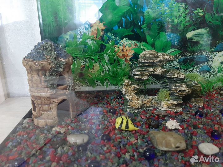 Аквариум