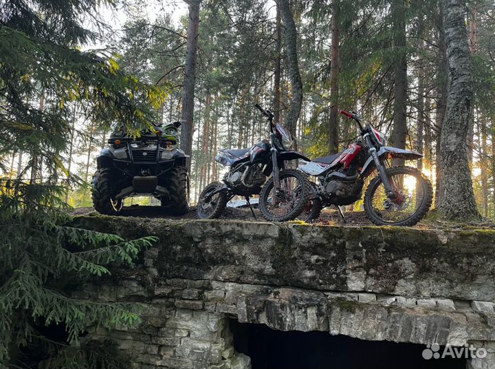 Питбайк Kayo basic 125 rolling moto edition