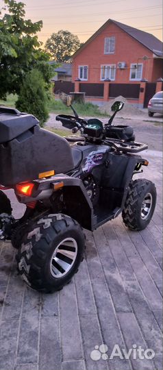 Avantis Hunter 200 Big Premium