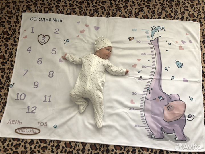 Фотоплед мимими со слоником