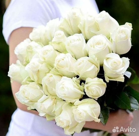 Высокие розы Гигантские розы Доставка цветов