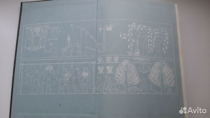 Энциклопедия садоводство