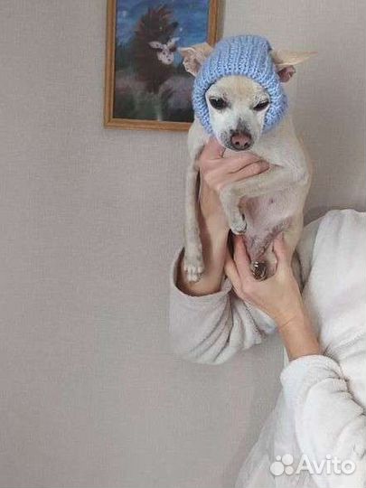 Вязаная шапочка для собак