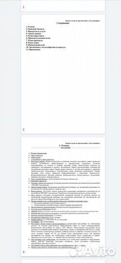 Бизнес-план для социального контракта