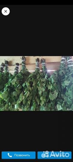 Веники березовые для бани в омске