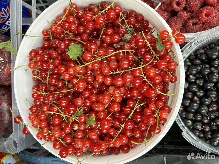 Малина, смородина