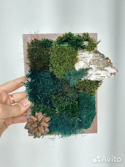 Картина, панно из стабилизированного мха
