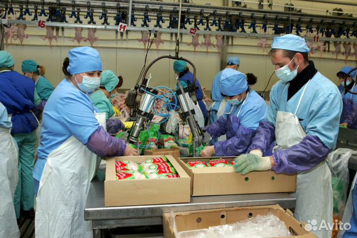 Работа на птицефабрике с проживанием