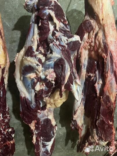 Мясо говядина мякоть