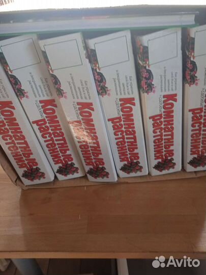 Сборник альбомов комнатные растения