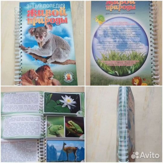 Энциклопеции о животных