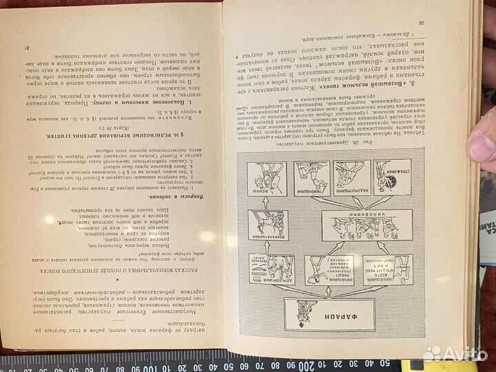 Учебники 5 класс древний мир СССР 1960 года