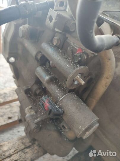 Honda elysion АКПП