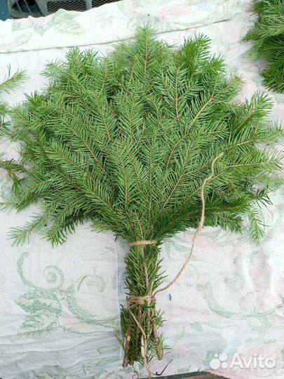Продам пихтовые веники