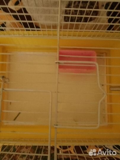 Клетка для грызунов