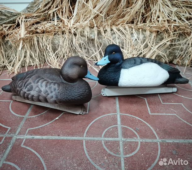 Чучела Чернеть хохлатая Softplast alfa ас-6