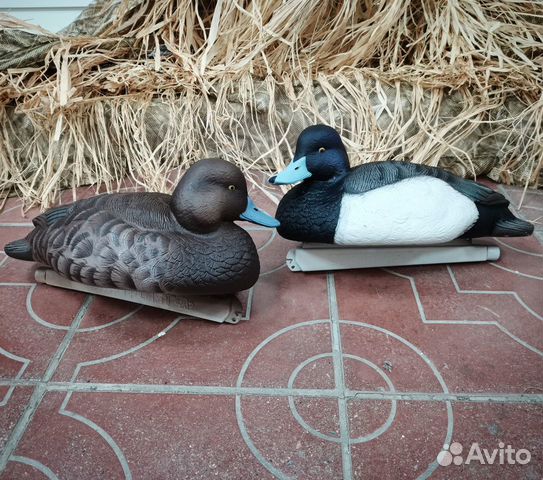 Чучела Чернеть хохлатая Softplast alfa ас-6