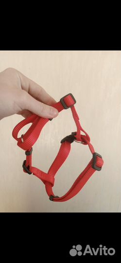 Вещи для животных