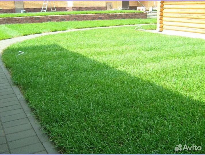 Газон рулонный под ключ