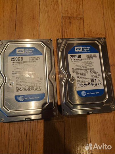 Жесткий диск SUN 250GB