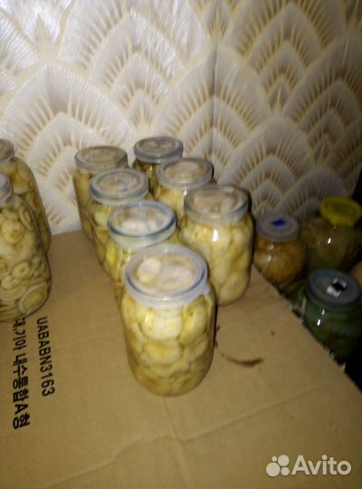 Грибы грузди белые соленые мелкие