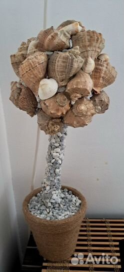 Топиарий из ракушек