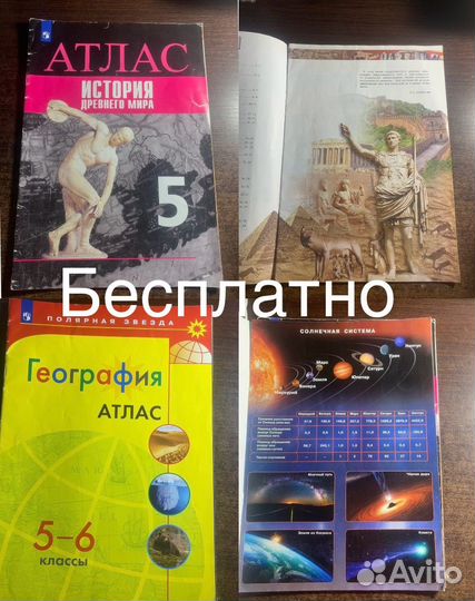 Математика /география /история /английский