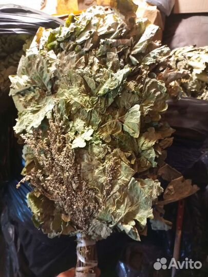 Дубовые веники для бани