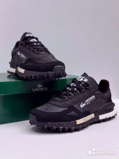 Кроссовки Lacoste premium
