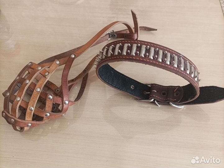 Аксессуары для собаки