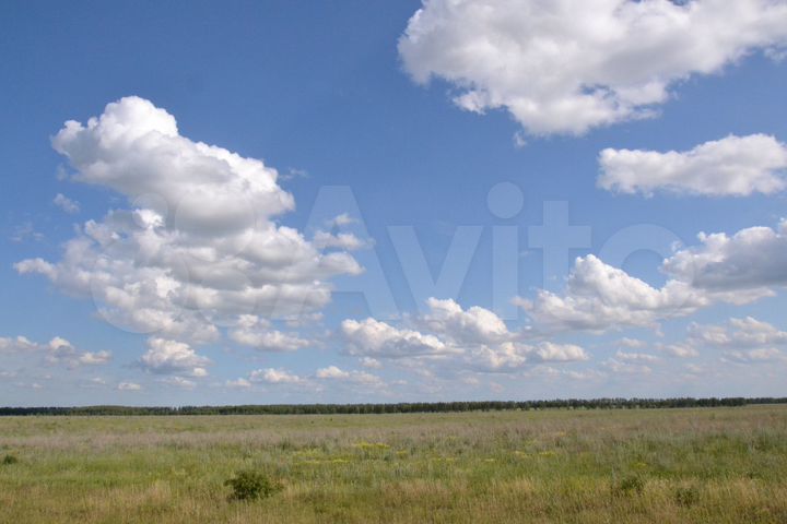 Участок 40 сот. (ИЖС)