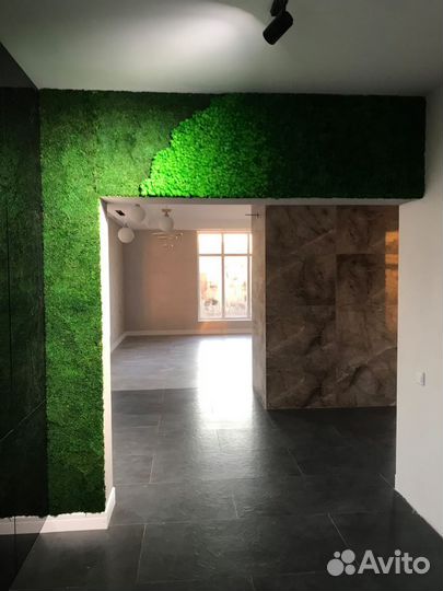 Мох стабилизированный оптом и в розницу