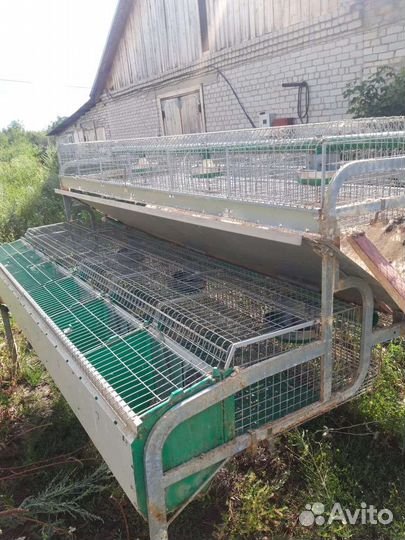 Клетки промышленные для кроликов итальянские