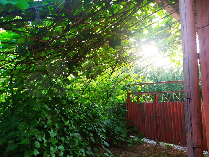 Дача 15 м² на участке 10 сот.