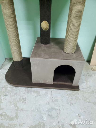 Когтеточка для кошек