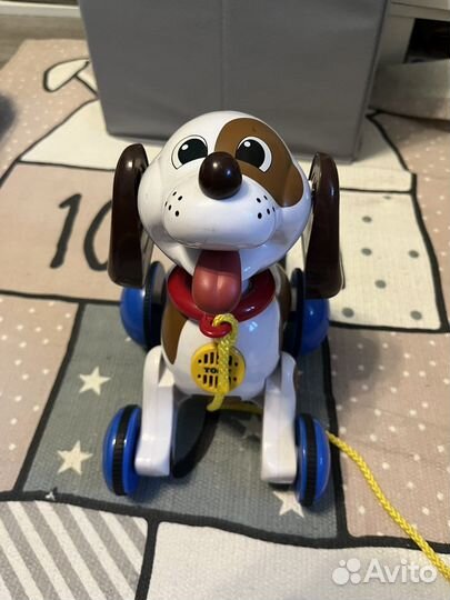 Игрушка каталка собачка Томи Tomy