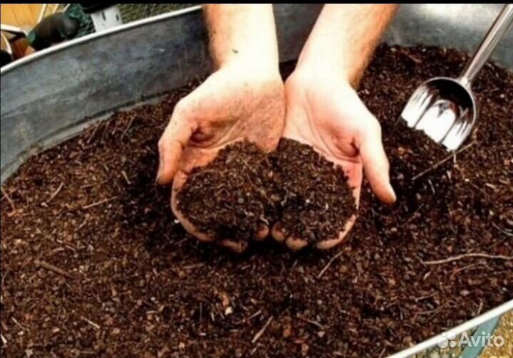 Перегной, чернозем, навоз (в мешках и россыпью)