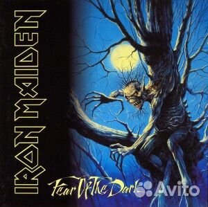 Iron maiden - Fear Of The Dark (2LP)