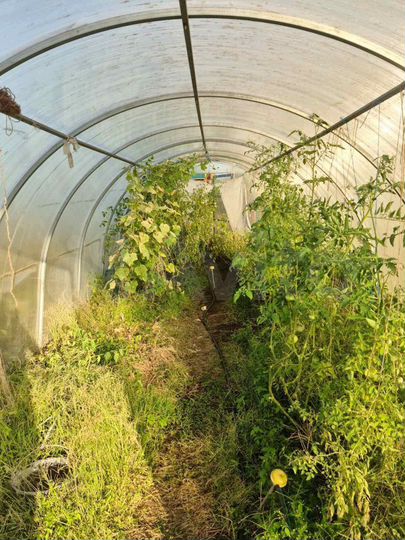 Дача 21 м² на участке 6 сот.